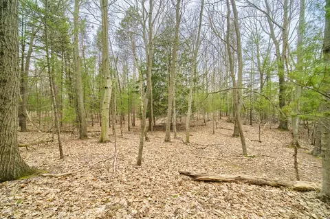 E Piney, Manistee, MI 49660 photo 7