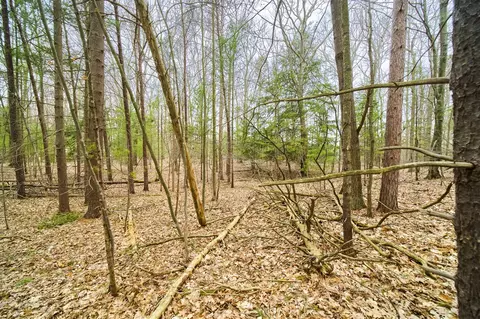 E Piney, Manistee, MI 49660 photo 13
