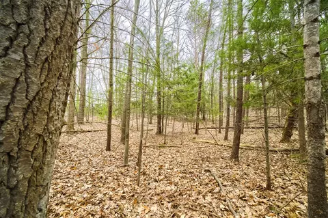 E Piney, Manistee, MI 49660 photo 2