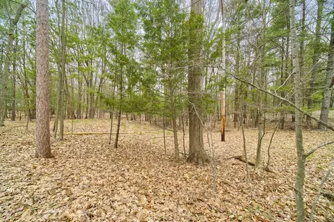 E Piney, Manistee, MI 49660 photo 3