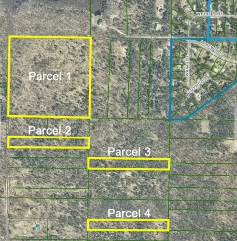 40 E Acres E Lakewood, Twin Lake, MI 49457
