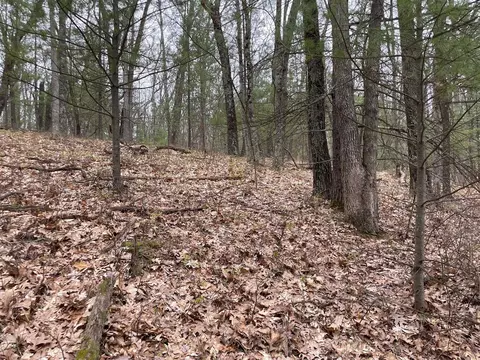 Parcel C Coates Hwy, Brethren, MI 49619