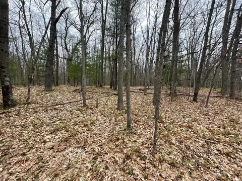 Parcel D Coates Hwy, Brethren, MI 49619