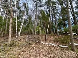 00 Lakeshore, Manistee, MI 49660