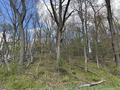 V/l Anderson, Cassopolis, MI 49031 photo 3