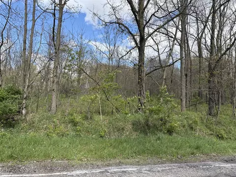 V/l Anderson, Cassopolis, MI 49031 photo 5