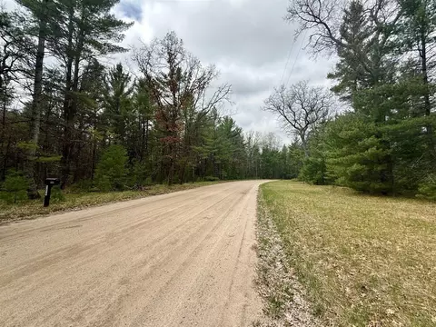 5858 W Wingleton, Baldwin, MI 49304 photo 4
