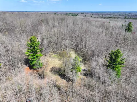 View/Area - 7415 E Anthony, Branch, MI 49402 photo 26 of 28