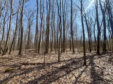 Other - 7415 E Anthony, Branch, MI 49402 photo 8 of 24