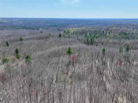 View/Area - 7415 E Anthony, Branch, MI 49402 photo 19 of 28