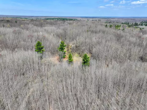 View/Area - 7415 E Anthony, Branch, MI 49402 photo 23 of 28