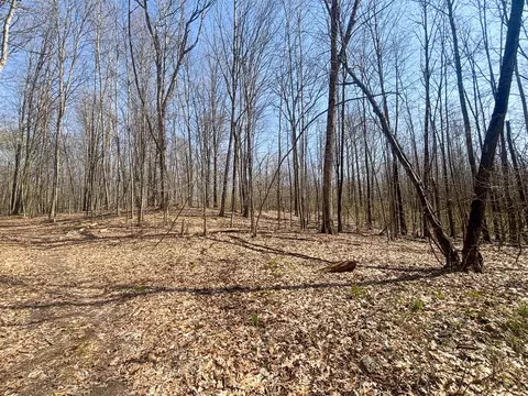 Exterior - 7415 E Anthony, Branch, MI 49402 photo 12 of 26