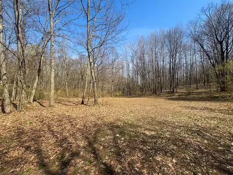 Other - 7415 E Anthony, Branch, MI 49402 photo 16 of 24