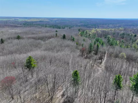 View/Area - 7415 E Anthony, Branch, MI 49402 photo 20 of 28