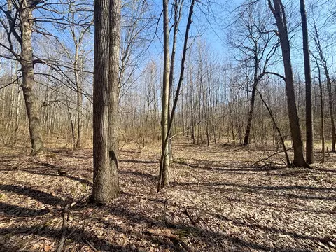 Exterior - 7415 E Anthony, Branch, MI 49402 photo 14 of 26