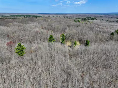 View/Area - 7415 E Anthony, Branch, MI 49402 photo 22 of 28