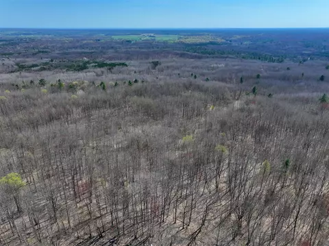 View/Area - 7415 E Anthony, Branch, MI 49402 photo 9 of 28