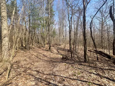 Other - 7415 E Anthony, Branch, MI 49402 photo 13 of 24
