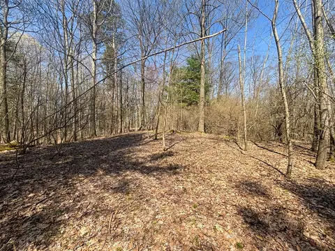 Exterior - 7415 E Anthony, Branch, MI 49402 photo 21 of 26