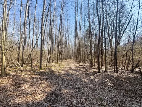Other - 7415 E Anthony, Branch, MI 49402 photo 11 of 24