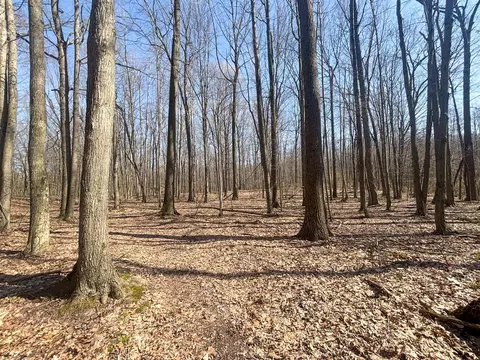 Other - 7415 E Anthony, Branch, MI 49402 photo 9 of 24