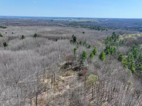 View/Area - 7415 E Anthony, Branch, MI 49402 photo 21 of 28