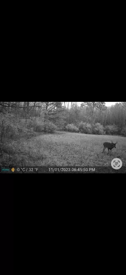 Other - 7415 E Anthony, Branch, MI 49402 photo 18 of 24
