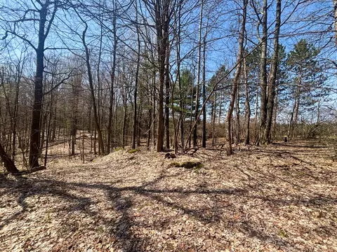 Other - 7415 E Anthony, Branch, MI 49402 photo 12 of 24