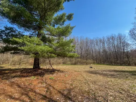Exterior - 7415 E Anthony, Branch, MI 49402 photo 15 of 26