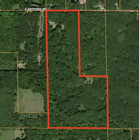 Other - 7415 E Anthony, Branch, MI 49402 photo 19 of 24