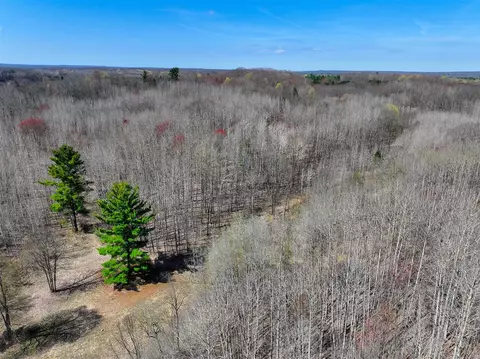 View/Area - 7415 E Anthony, Branch, MI 49402 photo 25 of 28