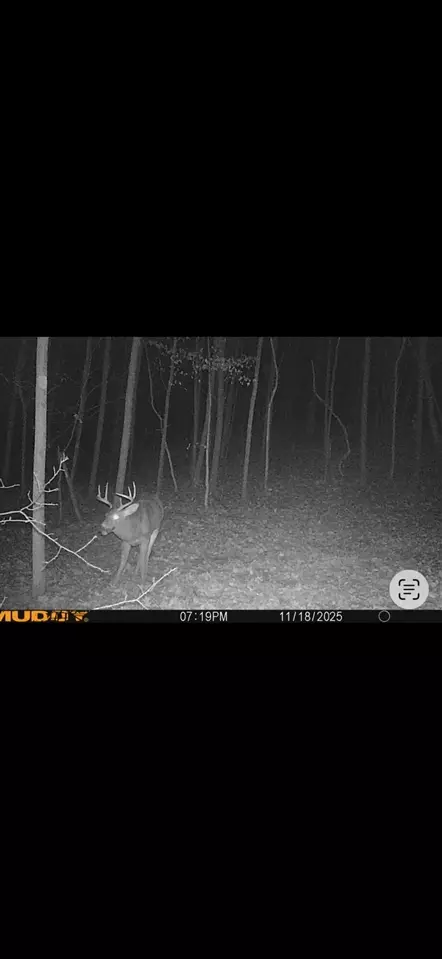 Other - 7415 E Anthony, Branch, MI 49402 photo 17 of 24