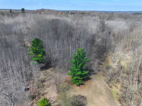 View/Area - 7415 E Anthony, Branch, MI 49402 photo 27 of 28