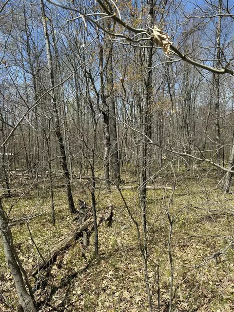V/l Shadowbrook, Lake, MI 48632
