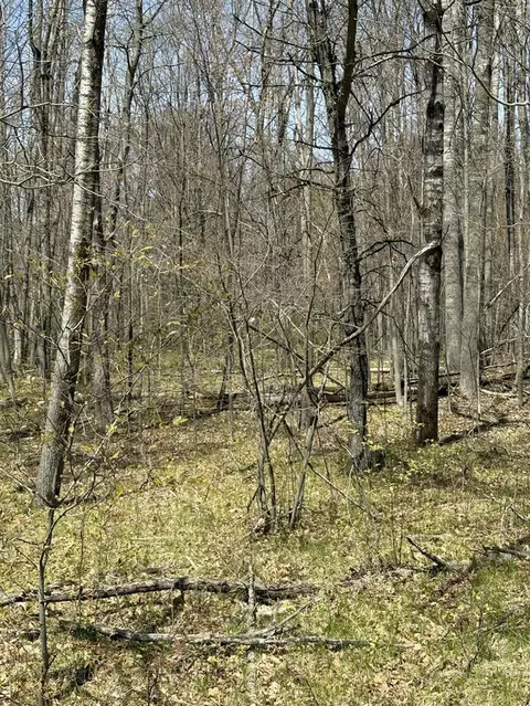 V/l Shadowbrook, Lake, MI 48632 photo 2
