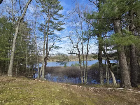 4735 N Alice Lk, Irons, MI 49644