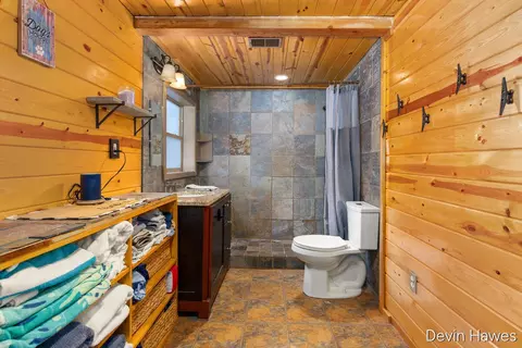 Bath - 259 Ivason, Stanton, MI 48888 photo 1 of 1