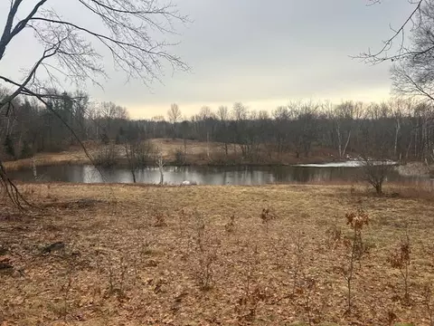 10300 E 24th, Reed City, MI 49677