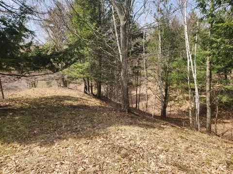 n slope, Onekama, MI 49675 photo 6
