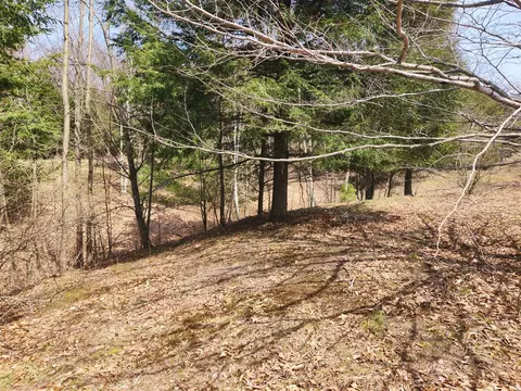 n slope, Onekama, MI 49675 photo 5