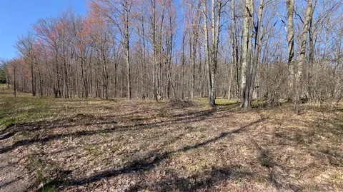 V/l Willow, Bitely, MI 49309 photo 3