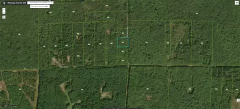 V/l Willow, Bitely, MI 49309 photo 3