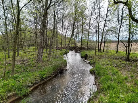 V/l Biggs, Lowell, MI 49331 photo 8