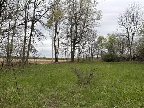 V/l Biggs, Lowell, MI 49331 photo 15