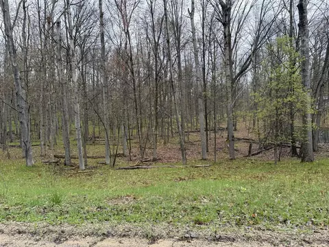 8196 Pine Tree, Stanwood, MI 49346