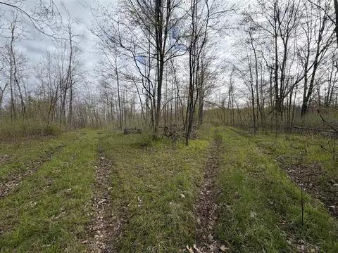 E Jackson, White Cloud, MI 49349 photo 14