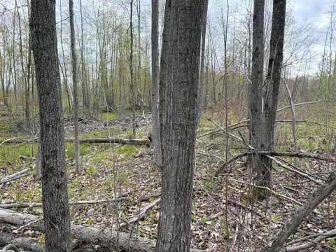 E Jackson, White Cloud, MI 49349 photo 27