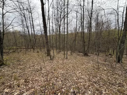 E Jackson, White Cloud, MI 49349 photo 53