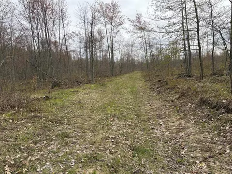 E Jackson, White Cloud, MI 49349 photo 16