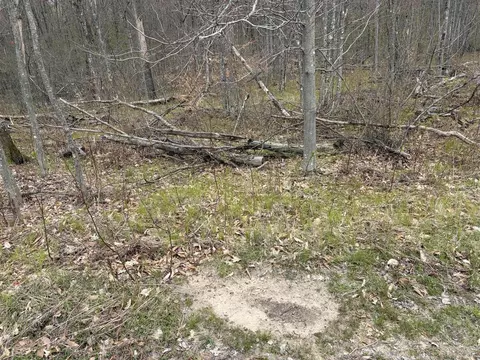 E Jackson, White Cloud, MI 49349 photo 18